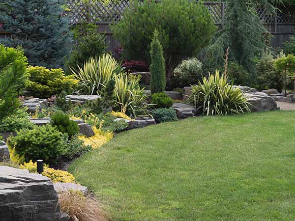 bespoke garden landscaping services blackpool with rocks, plants and green lawn